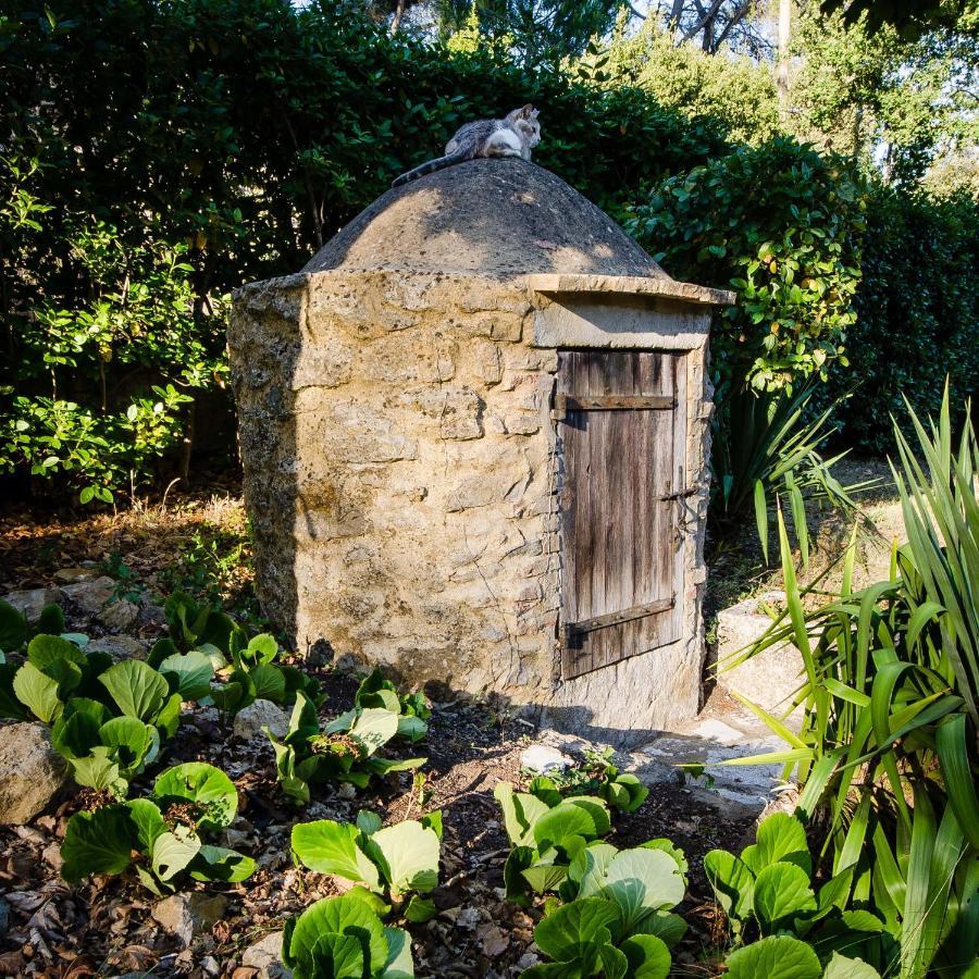 La Jourdane Bed & Breakfast Saint-Alexandre Luaran gambar